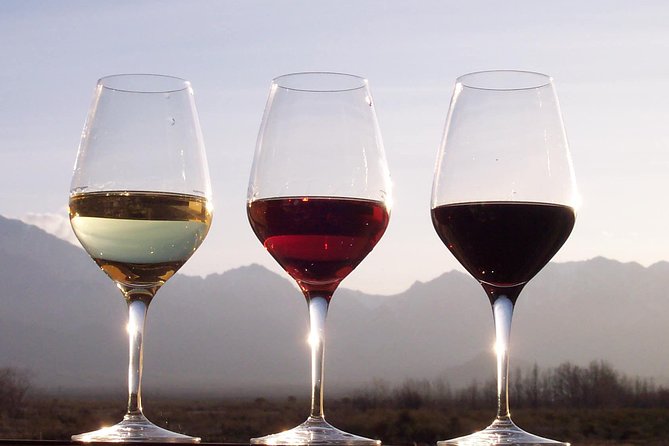 Douro Valley Private Wine and Food Tour From Porto - Why the Douro Valley is worth a full day from Porto