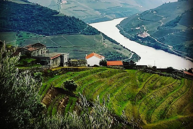 Douro Valley Private Wine and Food Tour From Porto - Casal de Loivos gives you the big Douro view