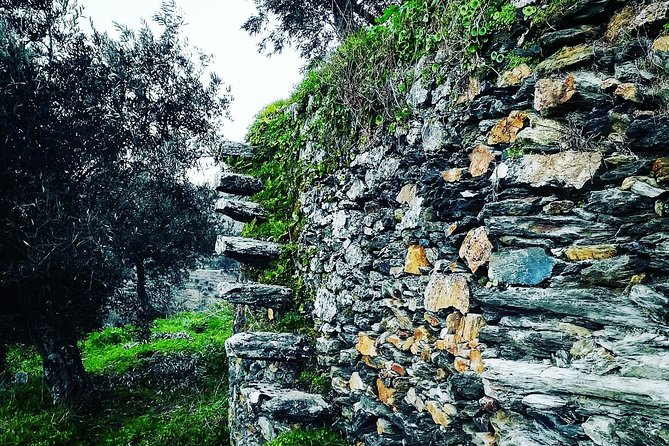 Douro Valley Private Wine and Food Tour From Porto - Price, timing, and what you actually receive