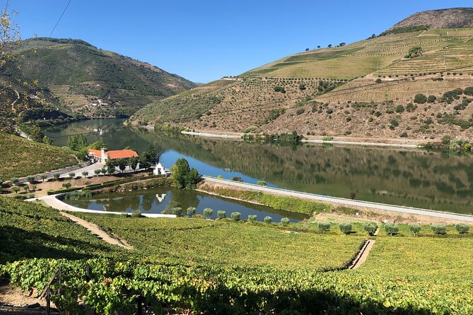 Douro Valley private wine tour | tastings and lunch included - Lunch at Quinta da Pacheca