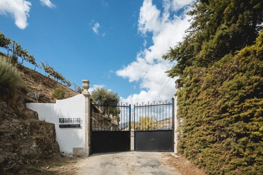 Douro Valley: Quinta de S. Luiz Winery Tour and Tasting - Choosing between the classic and premium tasting