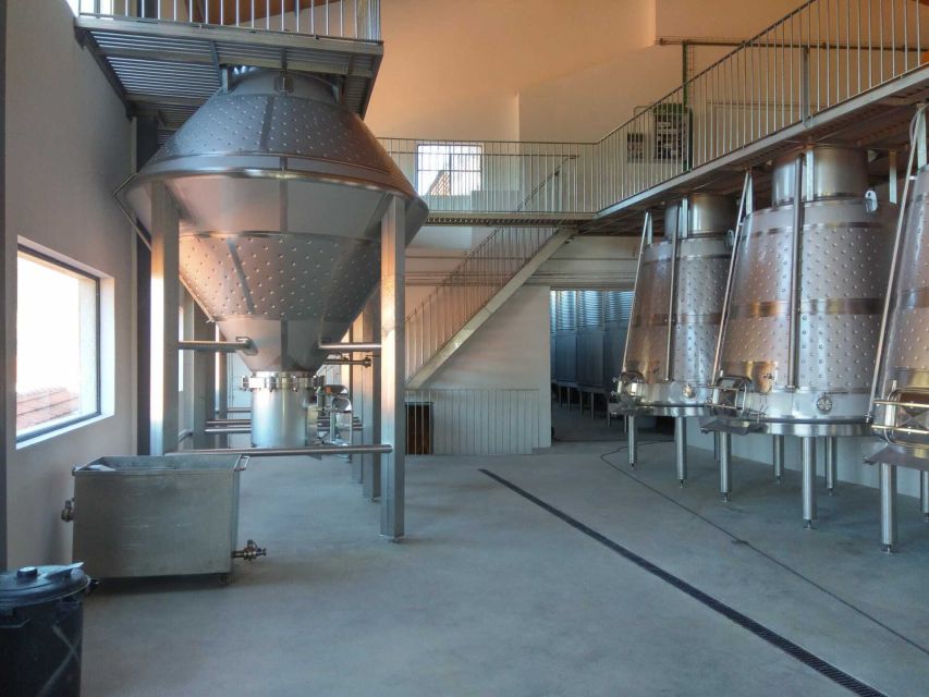 Douro Valley: Quinta de S. Luiz Winery Tour and Tasting - What the Quinta de S. Luiz visit includes