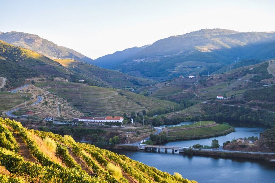 Douro Valley: Quinta do Tedo Wine Experience with Picnic - Key points at a glance