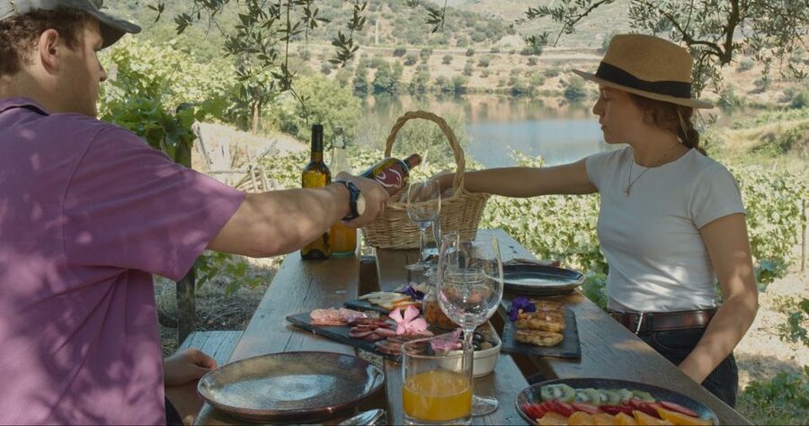 Douro Valley: Quinta do Tedo Wine Experience with Picnic - Arriving at Quinta do Tedo above the Tedo River