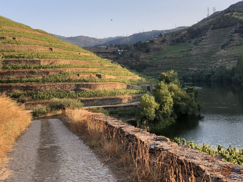 Douro Valley: Quinta do Tedo Wine Experience with Picnic - A Douro picnic with a full regional menu