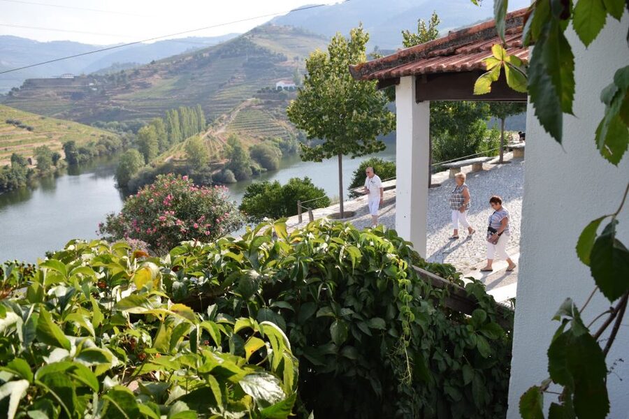 Douro Valley: Quinta do Tedo Wine Experience with Picnic - What the strongest praise tells you