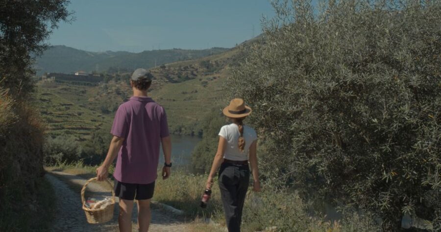 Douro Valley: Quinta do Tedo Wine Experience with Picnic - Who will enjoy this experience most?