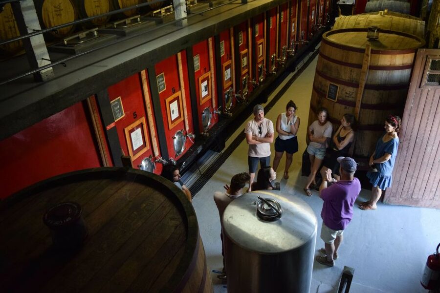 Douro Valley: Quinta do Tedo Wine Experience with Picnic - Practical booking advice for a smooth visit