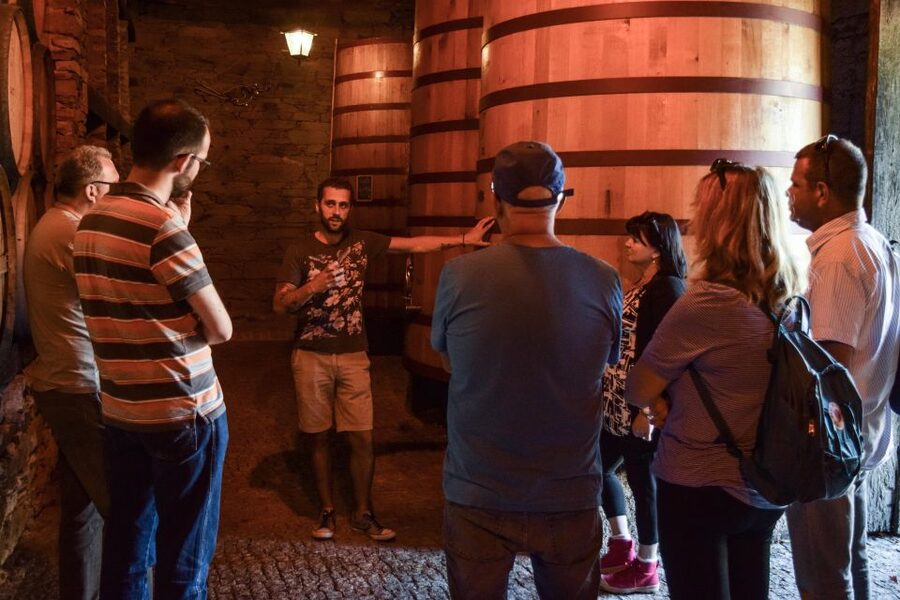 Douro Valley: Quinta do Tedo Wine Experience with Picnic - Touring the vinification center and wine cellars