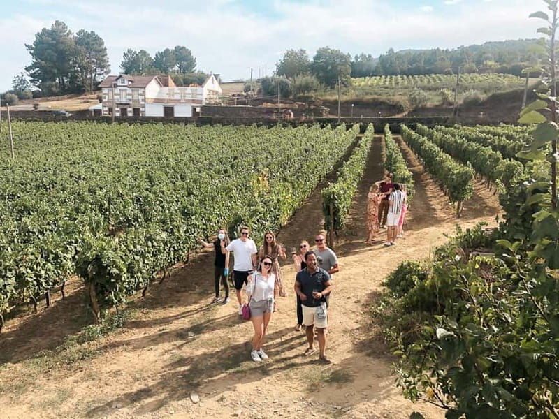 Douro Valley: Real Small-Group, Wine Tasting, Lunch & Boat - Key points at a glance