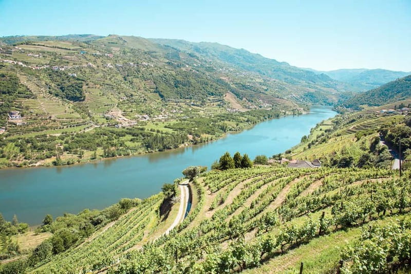 Douro Valley: Real Small-Group, Wine Tasting, Lunch & Boat - First estate: Port wine, cheese, and the old methods