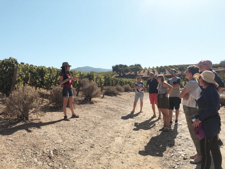 Douro Valley: Real Small-Group, Wine Tasting, Lunch & Boat - Second estate: small-producer wine, olive oil, and honey
