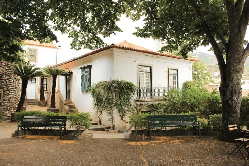 Douro Valley: Real Small-Group, Wine Tasting, Lunch & Boat - What the $164 price includes