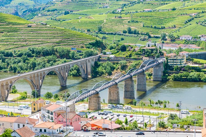 Douro Valley - Relaxed Departure from Porto - Quinta de São Luís and the second wine stop