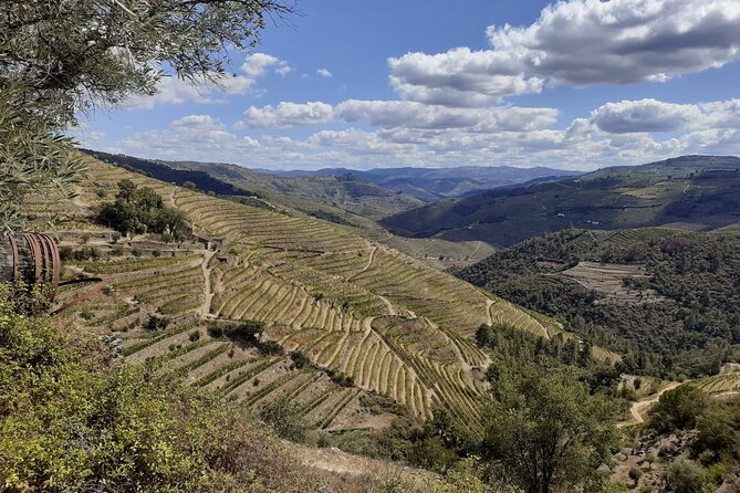 Douro Valley Small-Group Tour: 2 Wineries, Lunch, Optional Cruise - Lunch with Portuguese food and a generous table