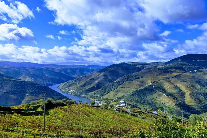 Douro Valley Small-Group Tour: 2 Wineries, Lunch, Optional Cruise - The second estate and the Port wine lesson