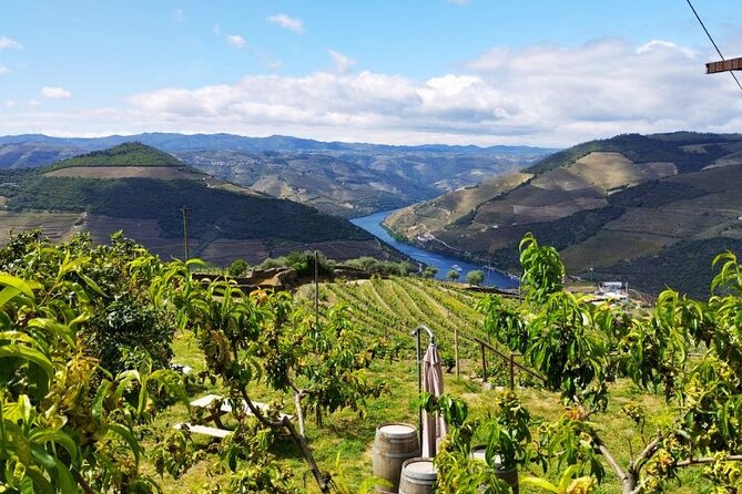 Douro Valley Small-Group Tour: 2 Wineries, Lunch, Optional Cruise - The guide can make or break the long day
