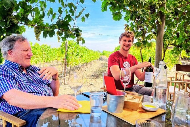 Douro Valley Small-Group Tour: 2 Wineries, Lunch, Optional Cruise - The first wine estate: more than a tasting room