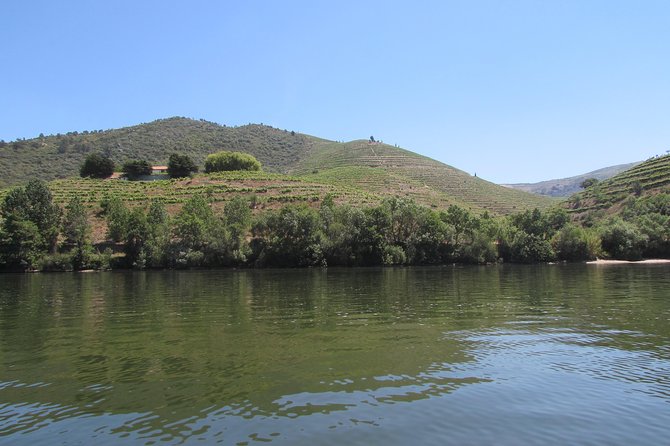 Douro Valley Tour: 2 Vineyard Visits, River Cruise, Winery Lunch - Why this Douro day trip works so well
