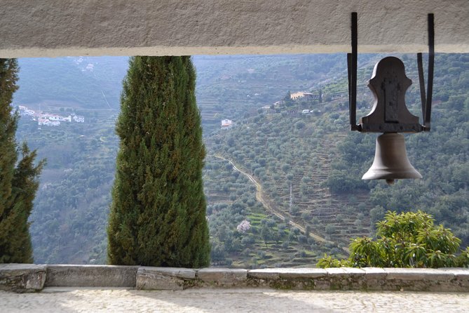 Douro Valley Tour: 2 Vineyard Visits, River Cruise, Winery Lunch - Port in the cellar and the second wine visit