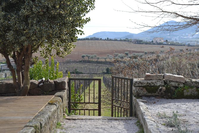 Douro Valley Tour: 2 Vineyard Visits, River Cruise, Winery Lunch - Group size, pickup, and timing