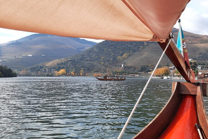 Douro Valley Tour - 3 Wine tastings, Lunch & river Cruise - The road itself becomes part of the tour