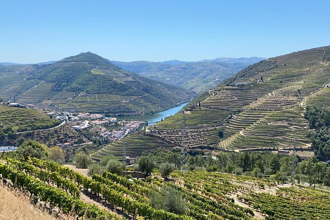 Douro Valley Tour - 3 Wine tastings, Lunch & river Cruise - Amarante closes with Verde wine and a village walk