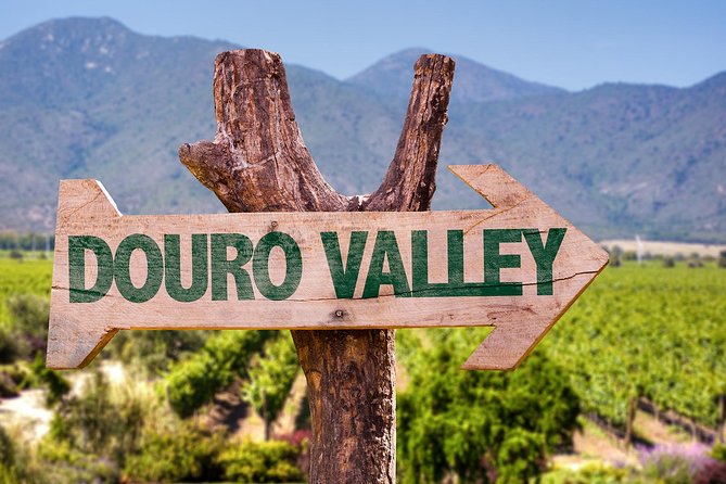 Douro Valley Tour from Peso da Regua - Why this Douro day works well