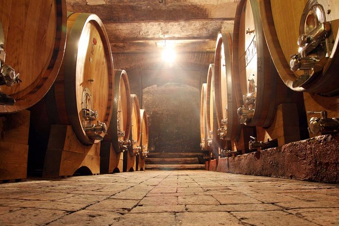 Douro Valley Tour from Peso da Regua - Santa Marta de Penaguião and the first port tasting