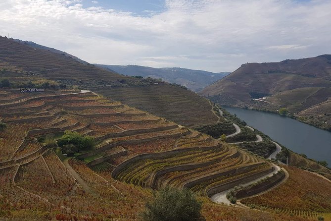 Douro Valley Tour from Peso da Regua - Portuguese lunch at a quinta near Pinhão