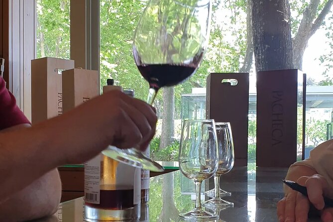 Douro Valley Tour Wine and breathtaking views - Key points to know before booking