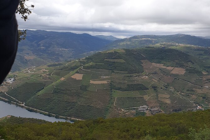Douro Valley Tour Wine and breathtaking views - Sabrosa, Magellan, and lunch at a 1733 palace