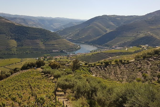 Douro Valley Tour Wine and breathtaking views - Five wines at Quinta Seara d’Ordens
