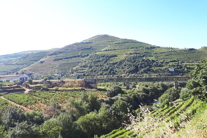 Douro Valley Tour (wine & Food) - Lunch: Confirm Before You Go