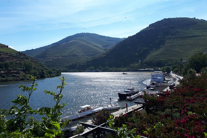 Douro Valley Tour (wine & Food) - Booking Details and Cancellation