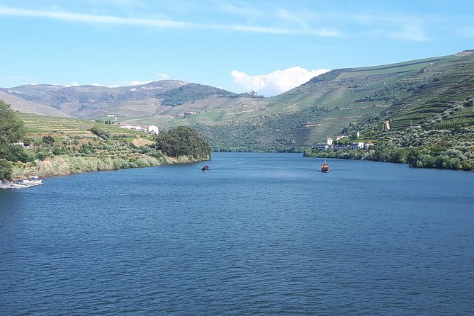 Douro Valley Tour (wine & Food) - D’Origem, Olive Oil, and the Food Side of the Valley