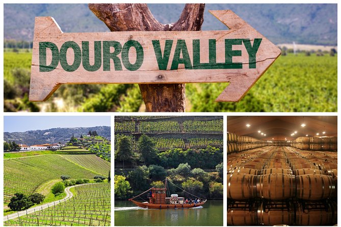 Douro Valley Tour: Wine Tasting, Cruise and Lunch from Porto - Key points before you book
