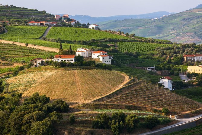 Douro Valley Tour: Wine Tasting, Cruise and Lunch from Porto - The first port tasting in Peso da Régua