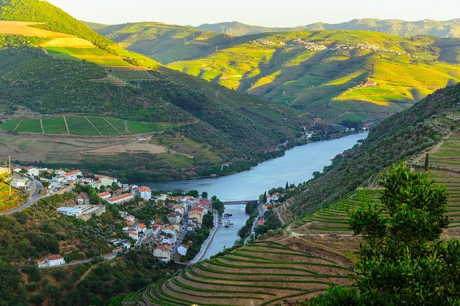 Douro Valley Tour: Wine Tasting, Cruise and Lunch from Porto - Lunch with three Portuguese choices