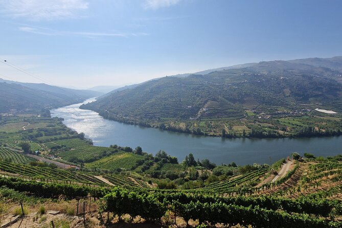 Douro Valley Tour: Wine Tasting River Cruise and Lunch from Porto - Leaving Porto early for Amarante