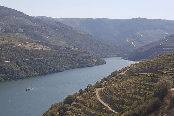 Douro Valley Tour: Wine Tasting River Cruise and Lunch from Porto - What the wine-farm visit really includes