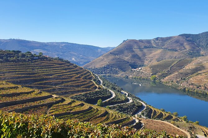 Douro Valley Tour: Wine Tasting River Cruise and Lunch from Porto - A filling Portuguese lunch in the middle of the day