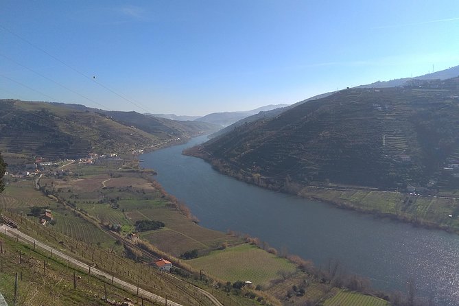 Douro Valley Tour: Wine Tasting River Cruise and Lunch from Porto - Is $137.92 good value?