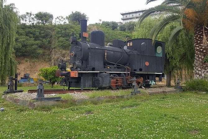 Douro Valley Tour: Wine Tasting River Cruise and Lunch from Porto - Who should book this Douro day trip?