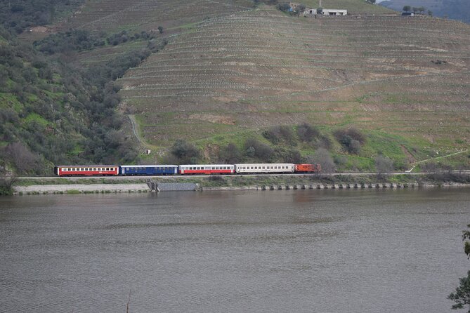 Douro Valley Tour with Train and Vinho Verde - Timing, group size, and the long return to Porto
