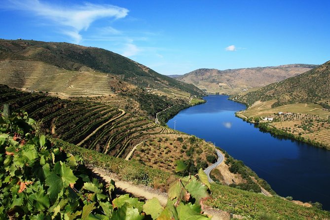 Douro Valley Wine Tour: 3 Vineyard Visits, Wine Tastings, Lunch - National Road 222 and the heart of the valley