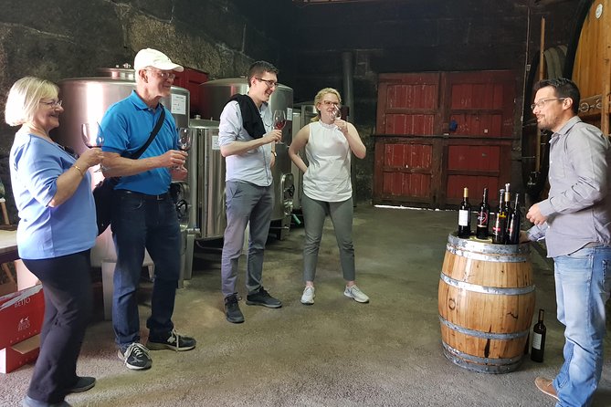 Douro Valley Wine Tour: 3 Vineyard Visits, Wine Tastings, Lunch - Guides, vehicles, and group size