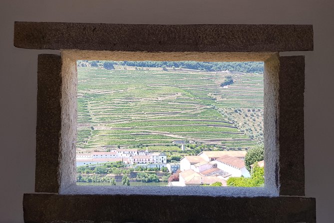 Douro Valley Wine Tour: 3 Vineyard Visits, Wine Tastings, Lunch - Lamego and the first family vineyard