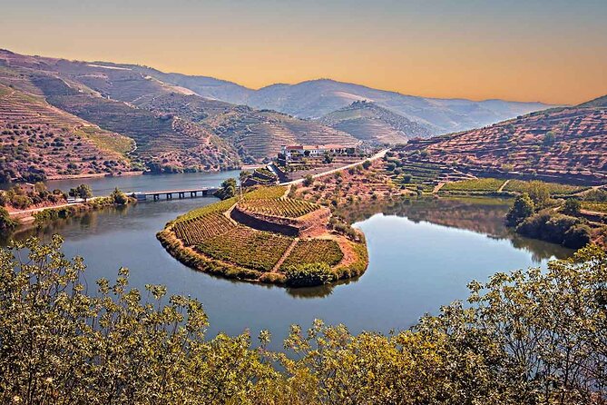 Douro Valley Wine Tour Private Group, 1h Cruise, Lunch from Porto - What the eight-hour schedule feels like