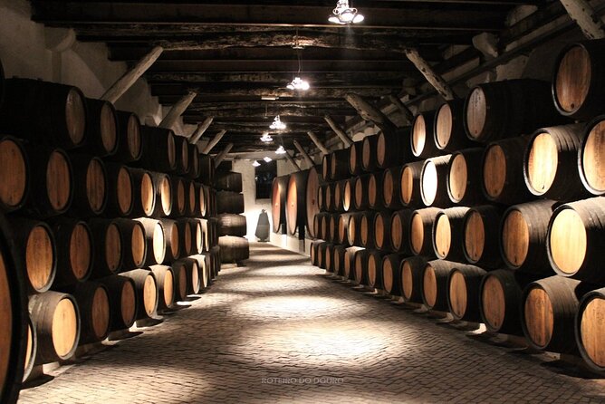 Douro Valley Wine Tour Private Group, 1h Cruise, Lunch from Porto - Who should book this Douro Valley tour?